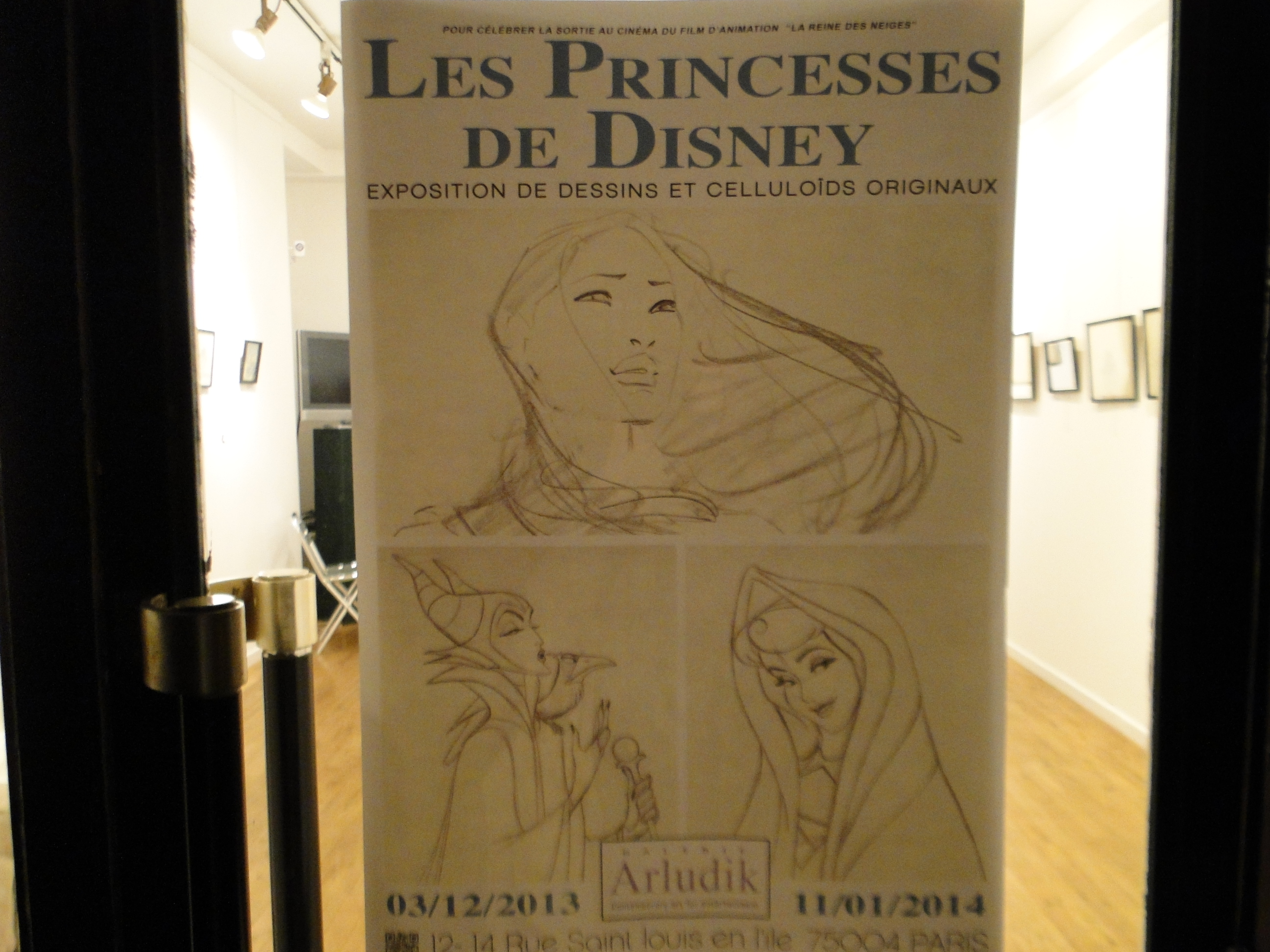 Princesses Disney - Galerie Arludik - Go with the Blog