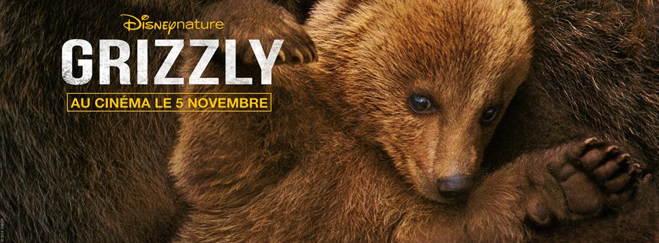 GRIZZLY - bandeau film Disneynature - Go with the Blog