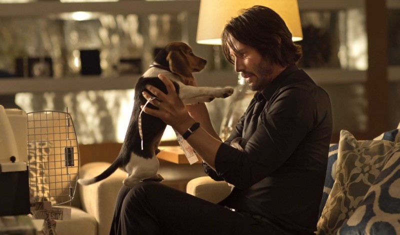 JOHN WICK - Keanu Reeves Dog movie 2014 - Go with the Blog