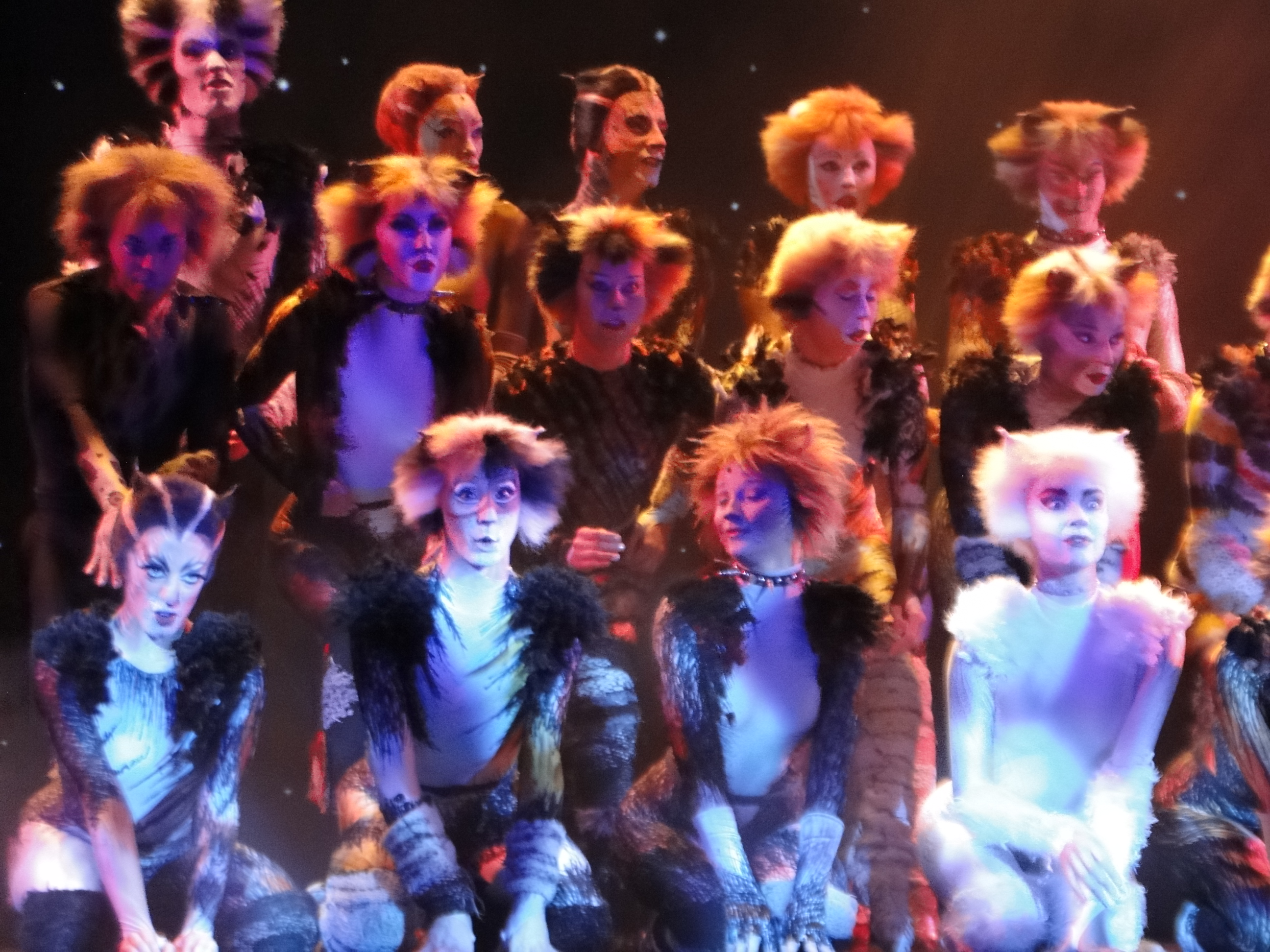 CATS Le Musical - Theatre Mogador Paris France Octobre 2015 - DSC04494