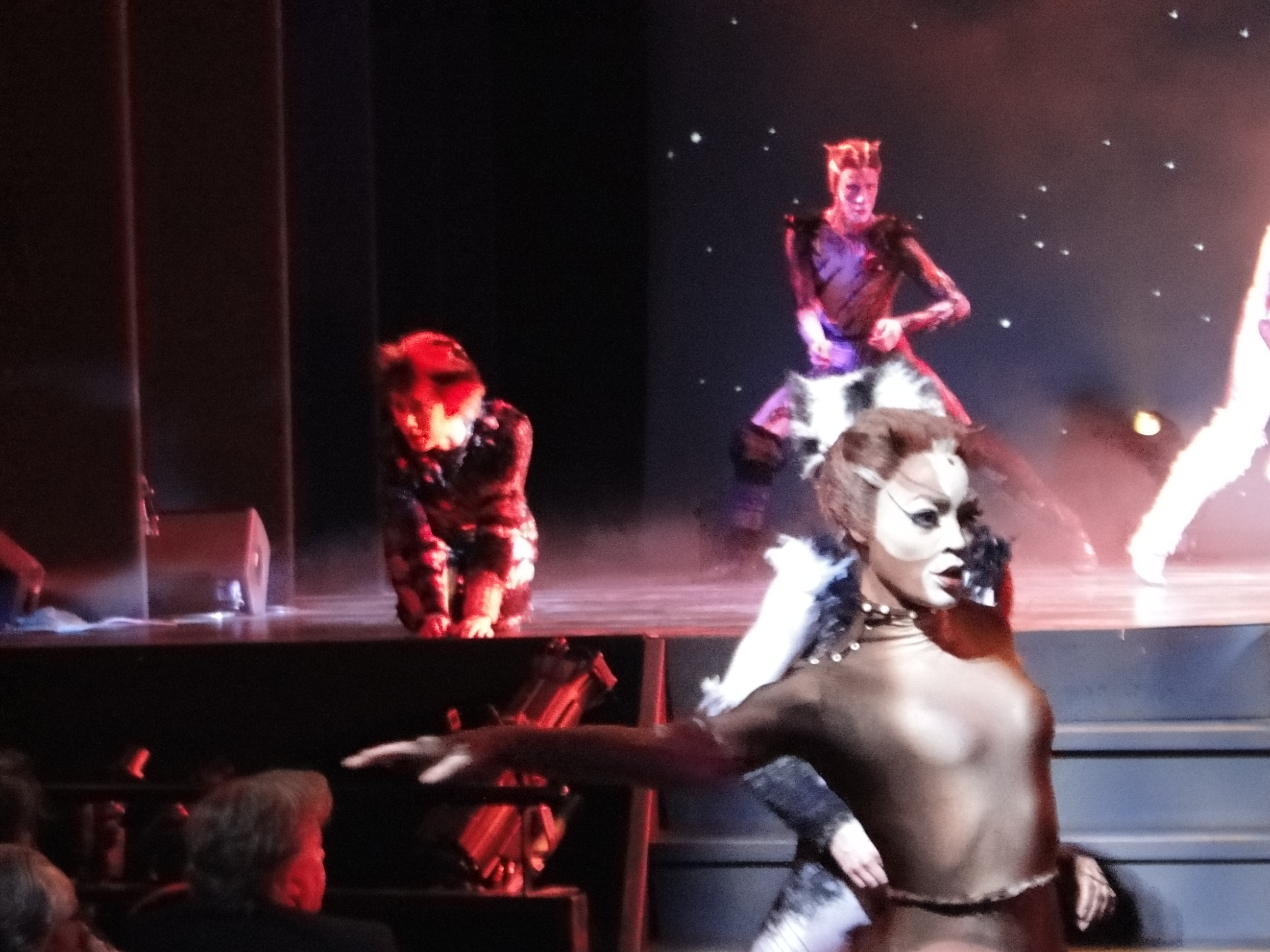 CATS Le Musical - Theatre Mogador Paris France Octobre 2015 - DSC04496
