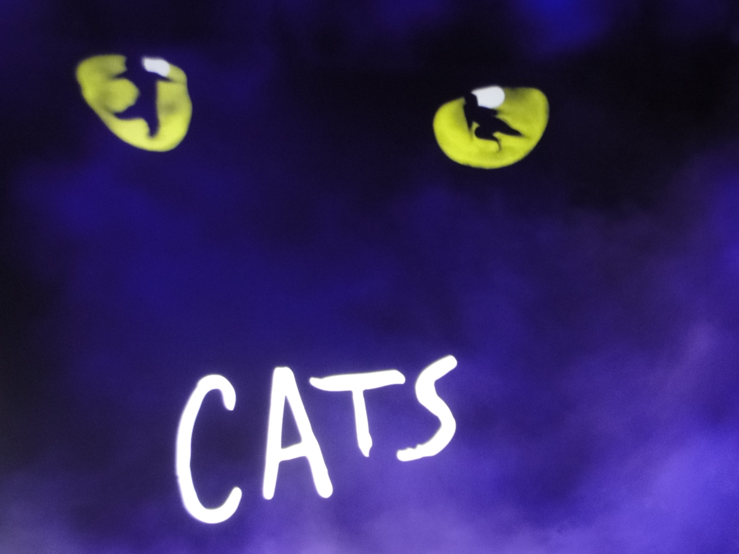CATS Le Musical - Theatre Mogador Paris France Octobre 2015 - DSC04506