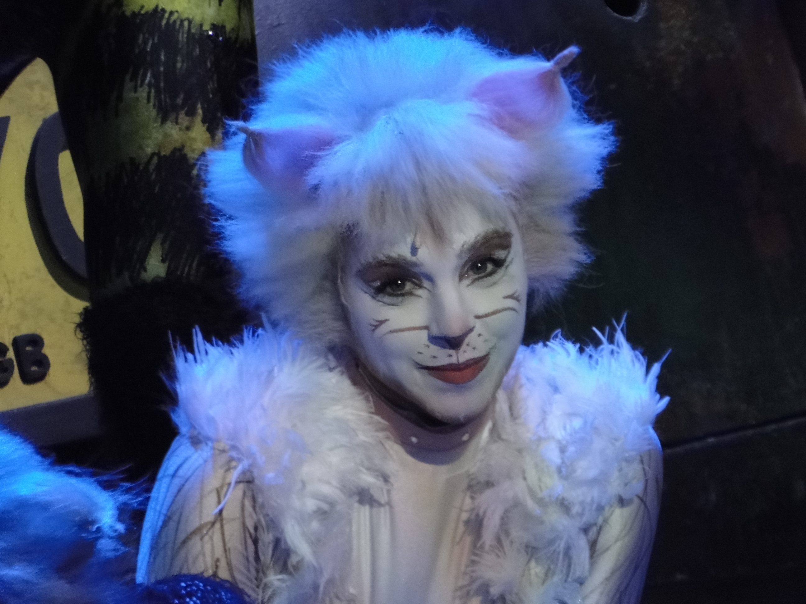 CATS Le Musical Theatre MOGADOR PARIS 2015 - photo DSC06488