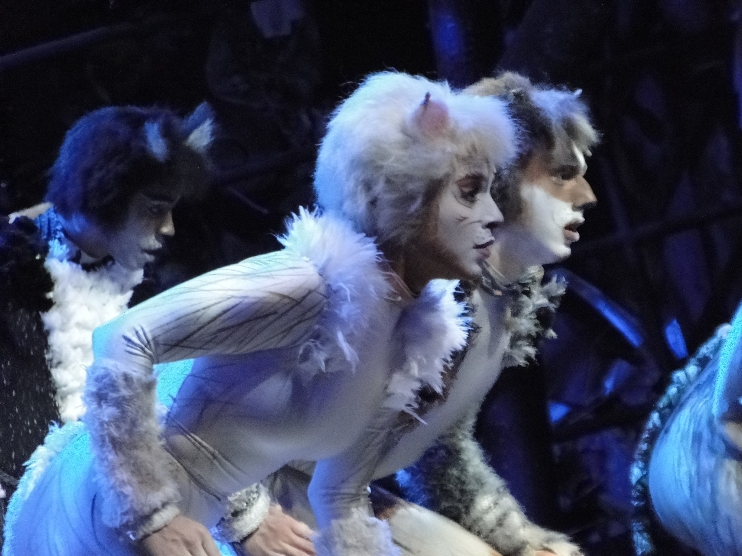 CATS Le Musical Theatre MOGADOR PARIS 2015 - photo DSC06473