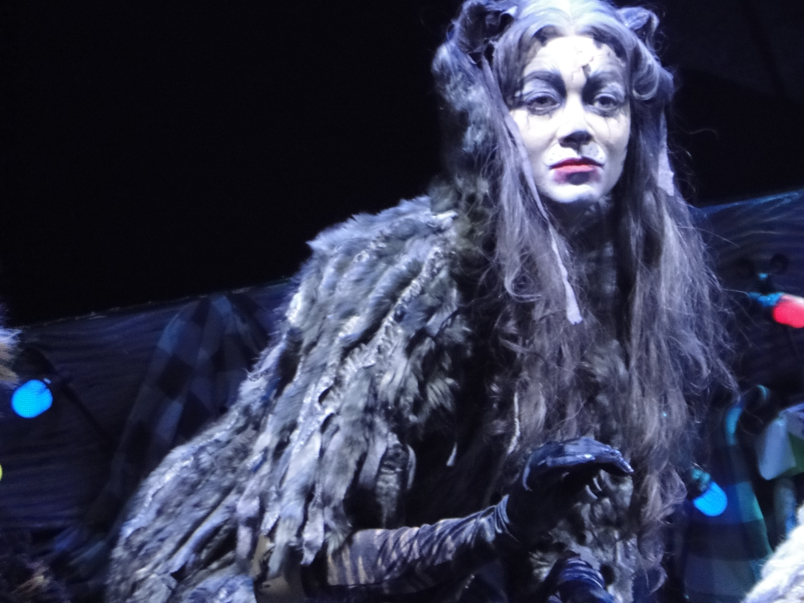 CATS Le Musical Theatre MOGADOR PARIS 2015 - photo DSC06487