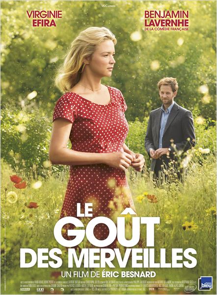LE GOÛT DES MERVEILLES - Affiche du film 2015 Virginie Efira - Go with the Blog