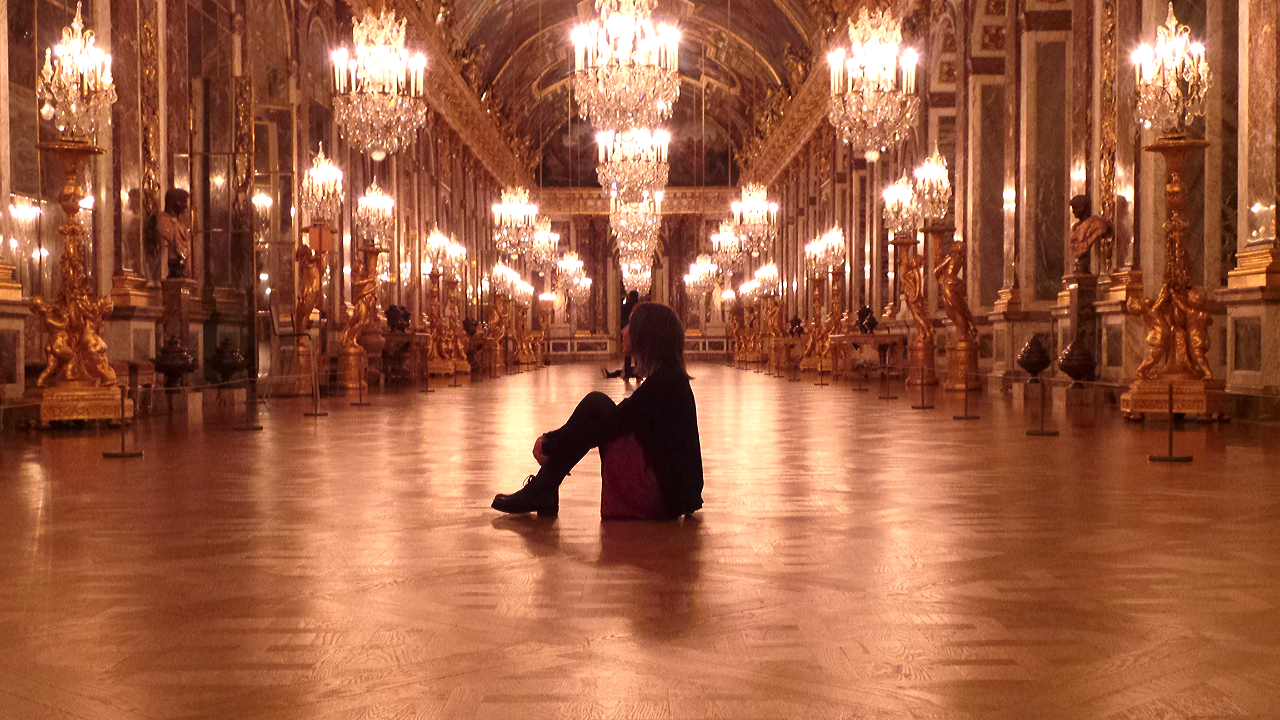 Versailles Intime - Une nuit au Château Visite Nocturne - copyright photo Go with the Blog 2015-11-28 01.55.39
